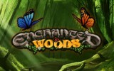 Enchanted Woods