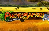 Photo Safari